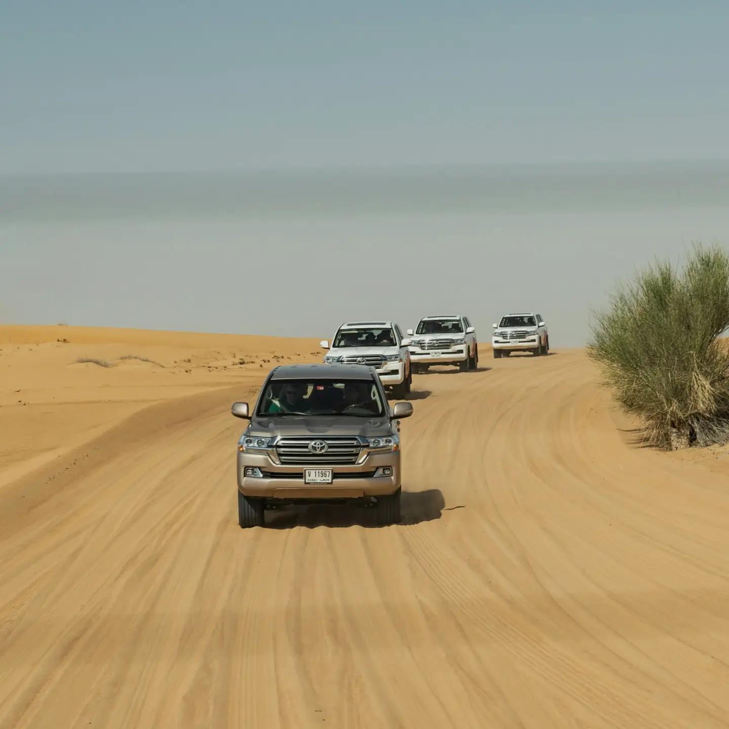 Why Oskar Is Your Go-To Tour Operator Booking Solution Why Oskar Is Your Go-To Tour Operator Booking Solution